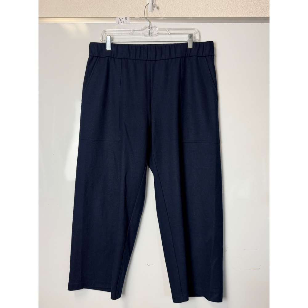 Eileen Fisher Petite Navy Blue 100% Wool Wide Leg Pants PL Poshmark Depop eBay